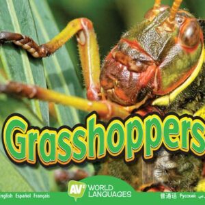Book cover showing a grasshopper face