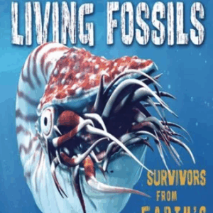Book cover showing a sea creature with tentacles living in shell