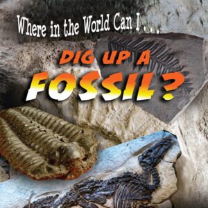 Book cover showing fossils in rocks