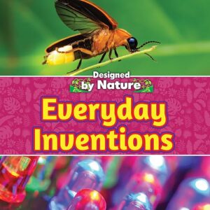 Book cover showing a lightning bug and lightbulbs