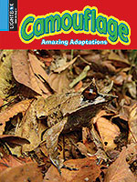 Book cover showing an animal in camouflage in a pile of leaves