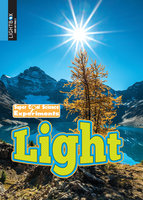 Sunlight in a forest with a tree