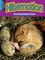 Book cover showing a small rodent in a nest sleeping
