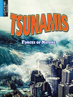 Book cover showing a wave hitting a city