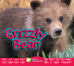 Grizzly Bear