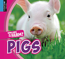 Pigs book cover