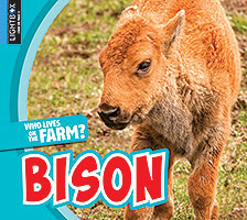 Bison book cover