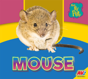 Mouse book cover