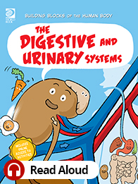 Digestive and Urinary System book cover