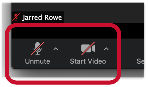 Zoom Basics: Mute and Stop Video - ClearCommunityWeb