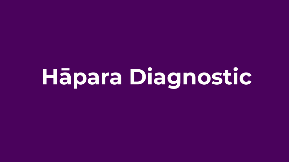 Hāpara Diagnostic on Chromebook