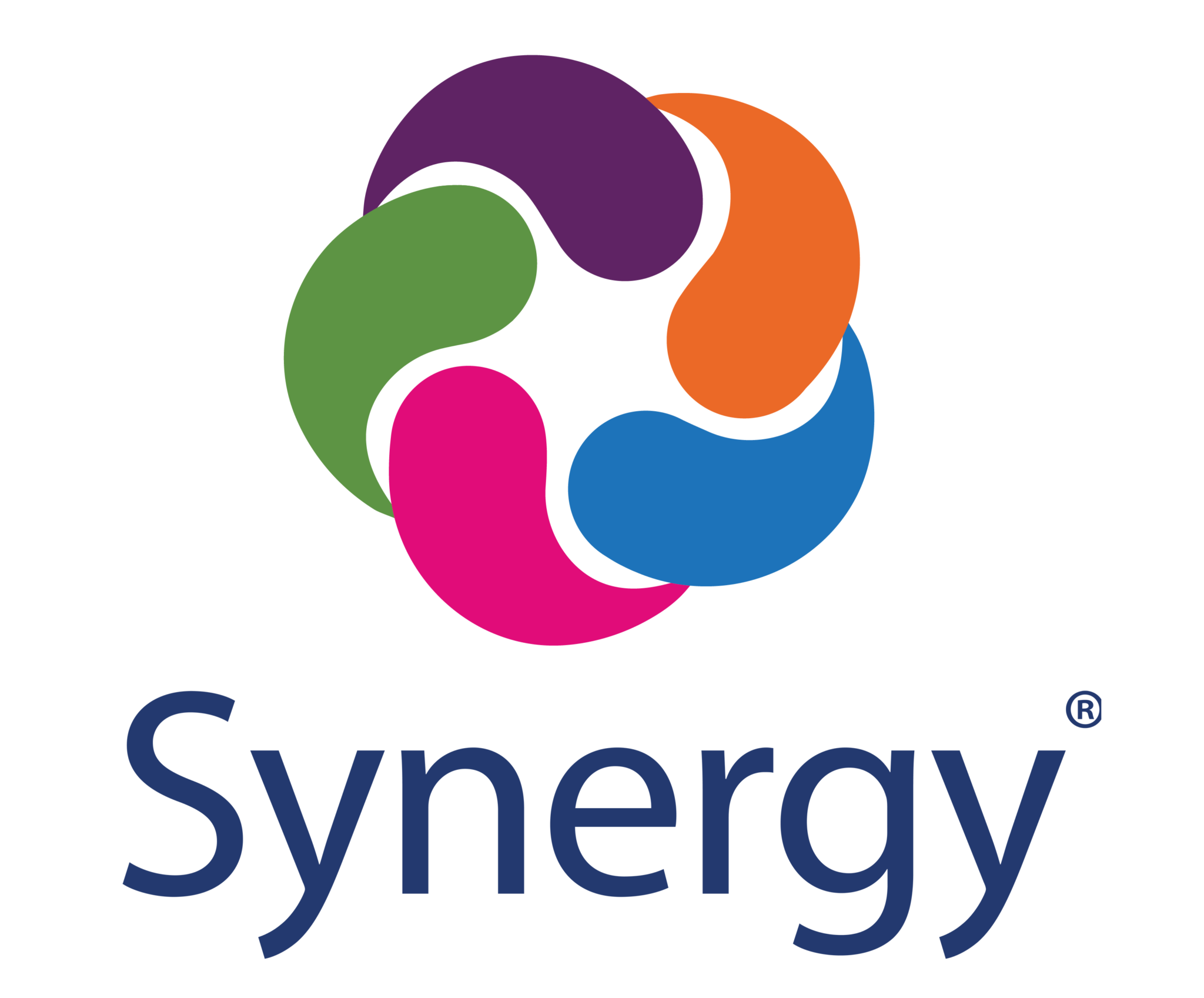 Synergy Logo 2019 VERTICAL Synergy Logo 2019 VERTICAL