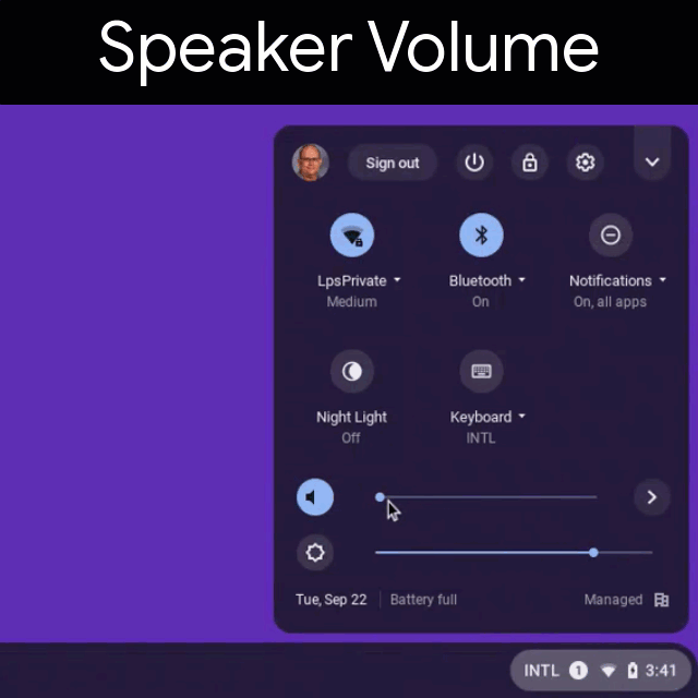 Adjust speaker and microphone levels on a Chromebook