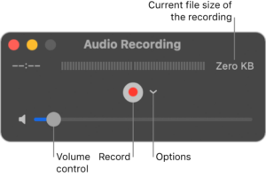 Screenshot of the audio recording feature in Quicktime Player for macOS.