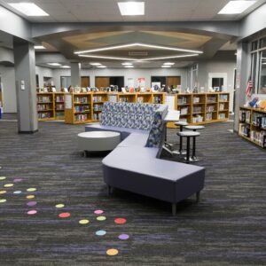 Furniture including a comfy couch and bookshelves in the library.