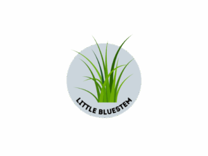 Little Bluestem Golden Sower logo